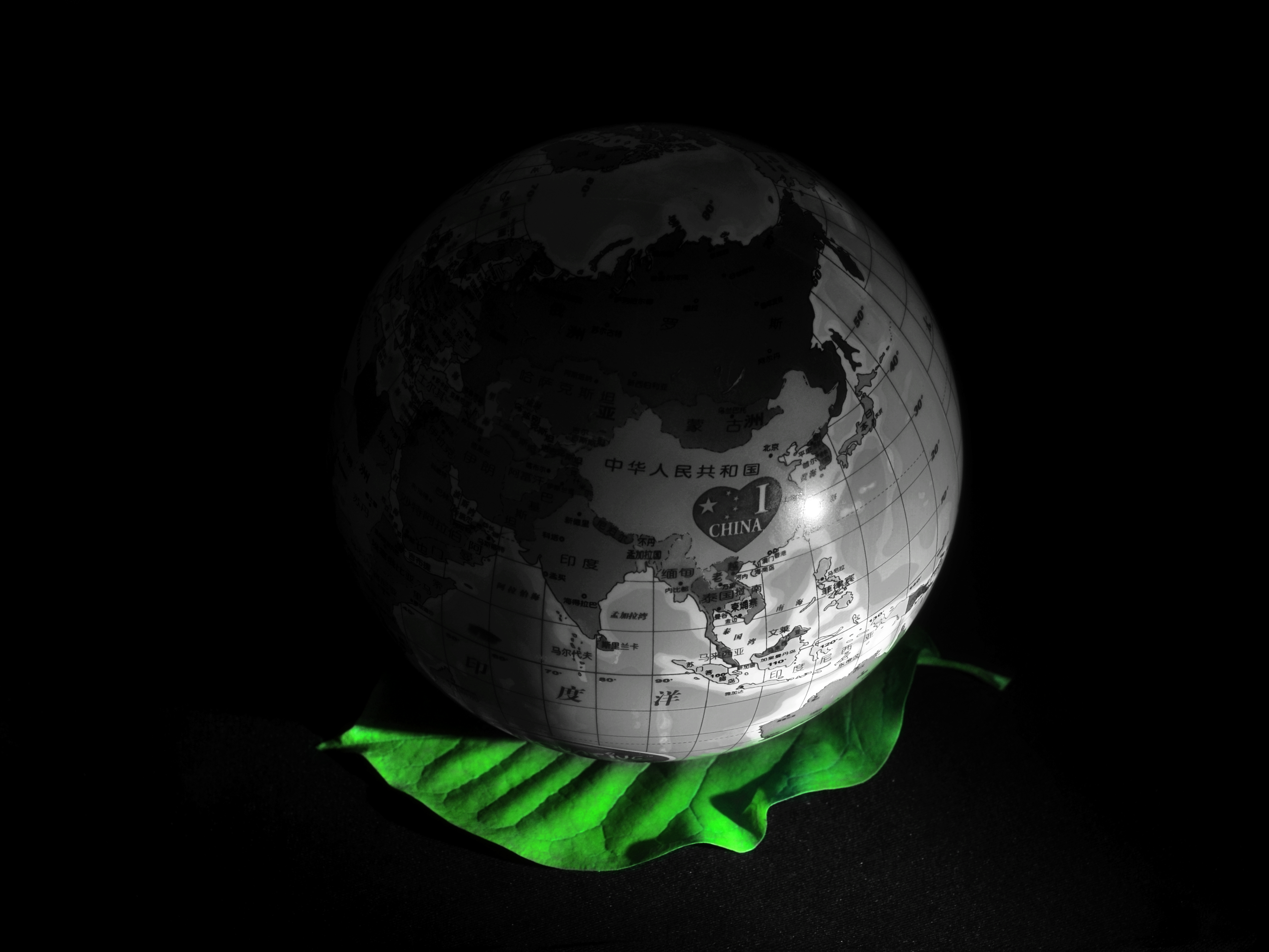 dsc_7686_3%e5%8f%82%e8%b5%9b